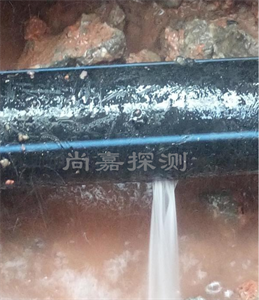 管城回族消防管道漏点探测
